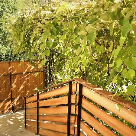 Apartment Moksha Slovenia Tolmin