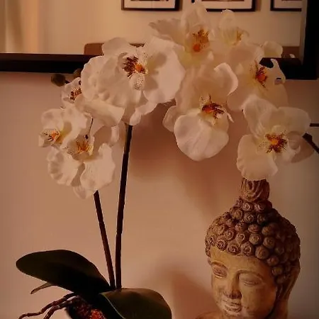 Moksha Slovenia Apartment *