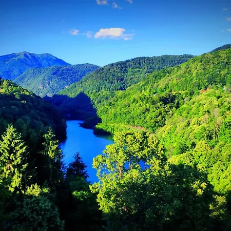 Moksha Slovenia