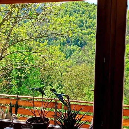 Apartment Moksha Slovenia Tolmin