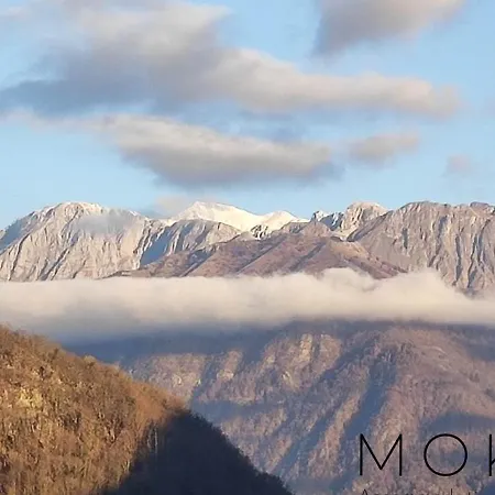 Moksha Slovenia * トールミン