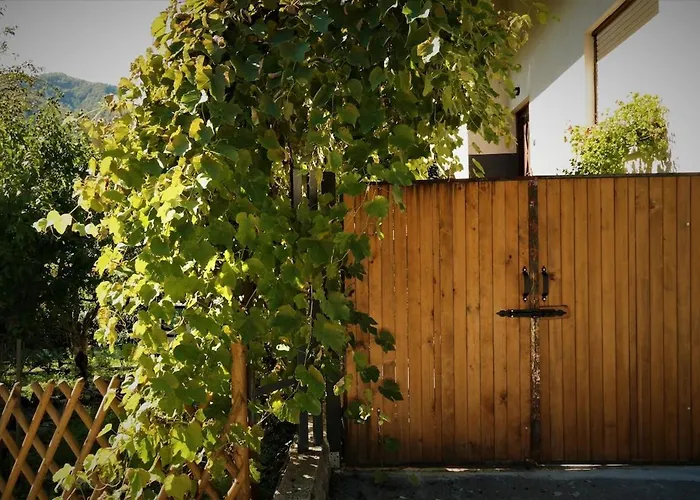 Moksha Slovenia * Толмин