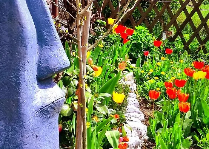 Апартаменты Moksha Slovenia *