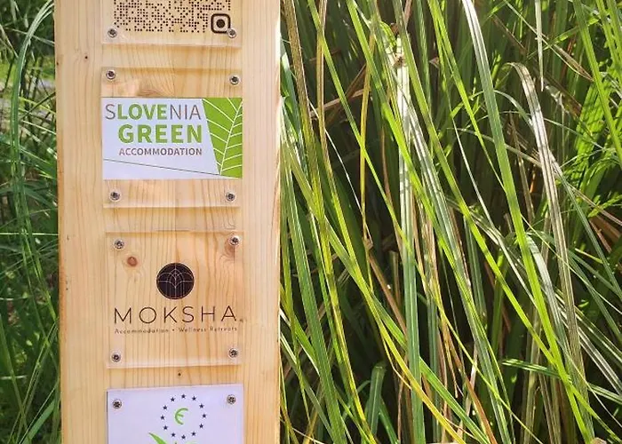 Moksha Slovenia Апартаменты Толмин